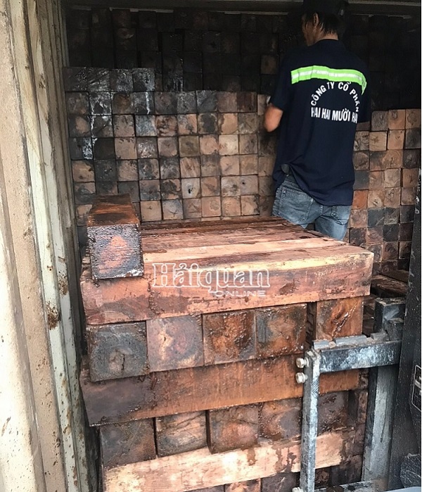Lực lượng Hải quan: Tạm giữ 60 container nghi gỗ Giáng hương tây Phi nhập lậu