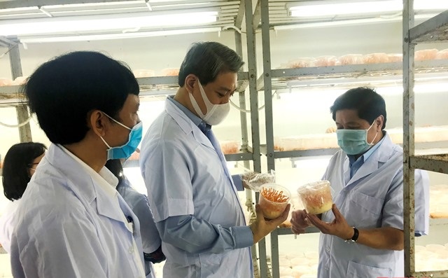 Thanh Hóa: Nỗ lực khắc phục khó khăn, phát triển sản xuất nông nghiệp