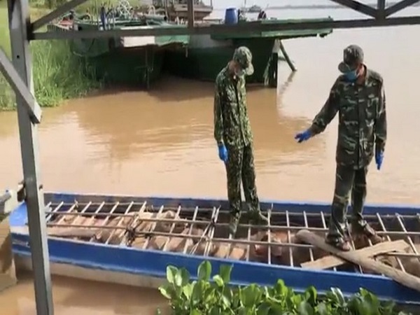 An Giang: Ngăn chặn 6 tấn heo chưa qua kiểm dịch từ Campuchia về Việt Nam