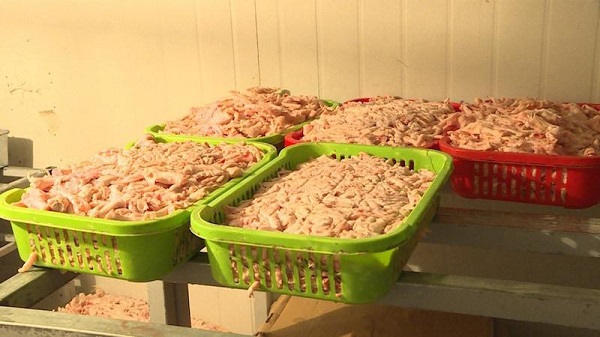 Hải Phòng: Phát hiện 2 tấn chân gà không rõ nguồn gốc