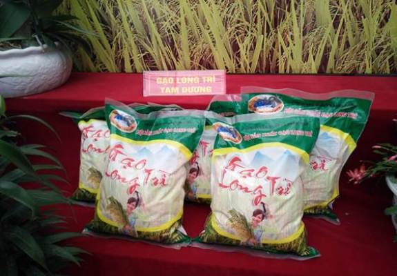 Vĩnh Phúc: Cần tháo gỡ khó khăn, vướng mắc trong thực hiện chương trình OCOP