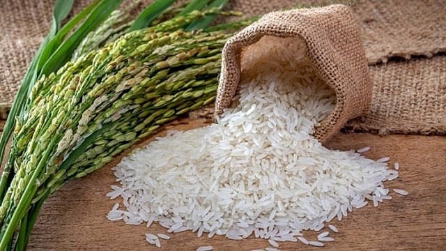 Giá gạo trong nước tăng nhẹ trong khi giá xuất khẩu giảm