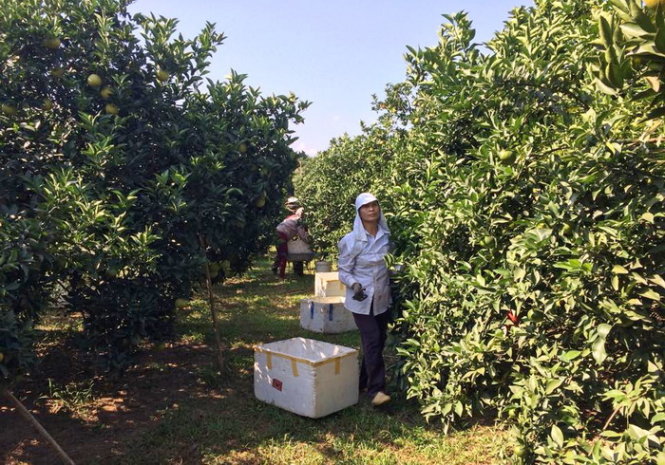 Hỗ trợ phát triển tài sản trí tuệ - tăng sức cạnh tranh cho sản phẩm