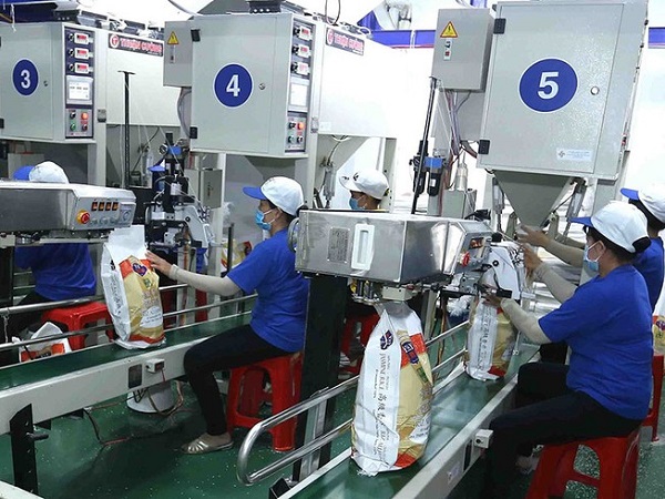 Gạo Việt Nam dẫn đầu thế giới về chất lượng và giá bán