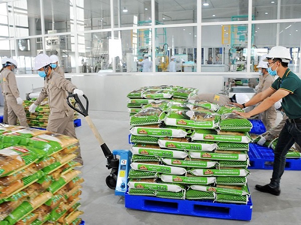 Giá gạo xuất khẩu Việt Nam vươn lên dẫn đầu thế giới, vượt qua cả nước đứng số một thế giới về xuất khẩu gạo là Thái Lan