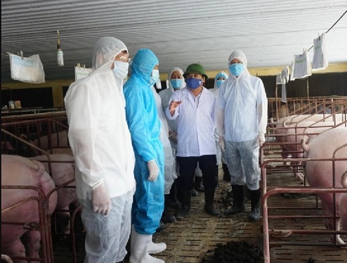 Thái Nguyên: Đoàn công tác của Bộ NN-PTNT kiểm tra công tác phòng chống dịch bệnh trên đàn lợn