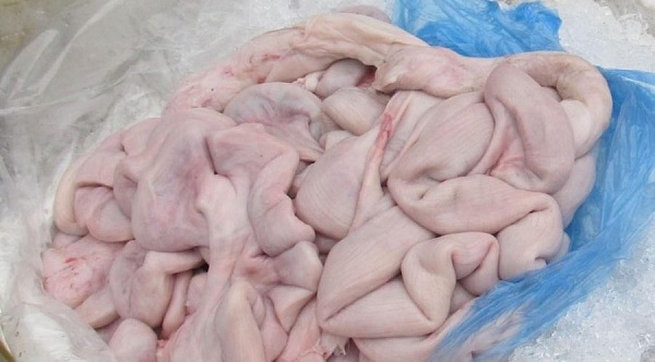 Hải Phòng: Phát hiện 24 tấn nội tạng nhiễm dịch tả châu Phi suýt tuồn ra thị trường