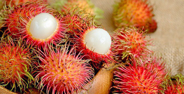 Việt Nam hiện có 6 loại hoa quả được phép xuất khẩu vào thị trường Mỹ, bao gồm thanh long, chôm chôm, nhãn, vải, vú sữa và xoài.