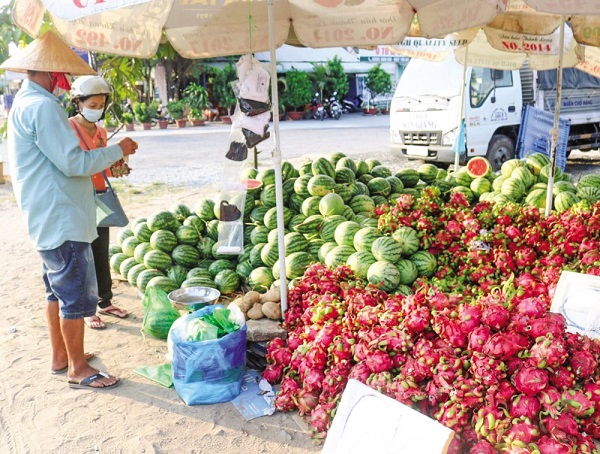 Thanh long và dưa hấu được bày bán tại một điểm bán trái cây ở quận Ninh Kiều, TP Cần Thơ.