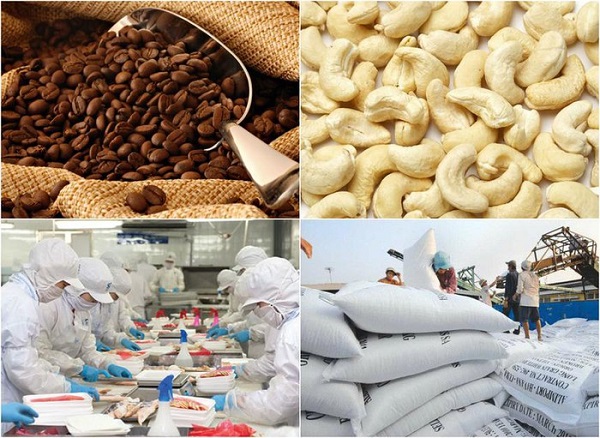 Ngành nông nghiệp xuất siêu 6,2 tỷ USD trong 8 tháng