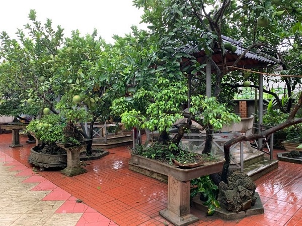 Khu vườn gắn liền với ngôi nhà 3 tầng trên thửa đất hơn 340m2 ở thôn Đồng Bụt (xã Ngọc Liệp, Quốc Oai, Hà Nội)