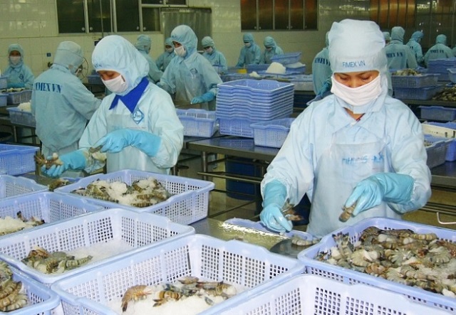 Xuất khẩu tôm của Việt Nam có nhiều cơ hội trong bối cảnh khó khăn chung của xuất khẩu thủy sản
