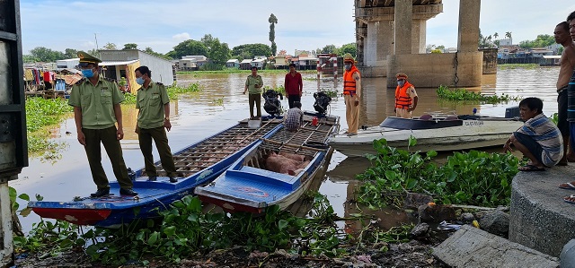 An Giang: Thấy lực lượng QLTT kiểm tra, chủ cơ sở bỏ lại đàn heo hơi