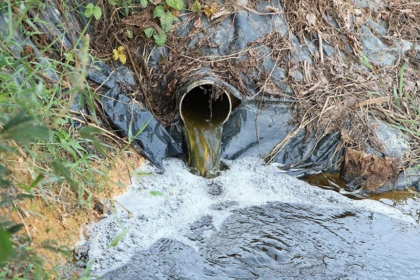 Nghệ An: Công ty TNHH Đại Thành Lộc bị phạt 320 triệu đồng