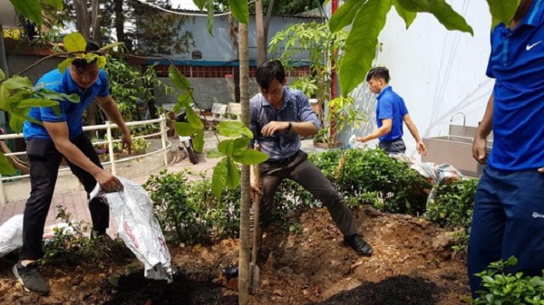 Cán bộ, nhân viên Trường THPT Nguyễn Du (quận 10 TP.HCM) chăm sóc cây xanh trong sân trường