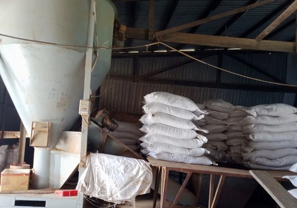 An Giang: Phát hiện 150 tấn nguyên liệu thủy sản không rõ nguồn gốc