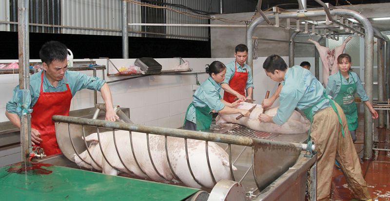 Chất lượng nâng tầm thương hiệu