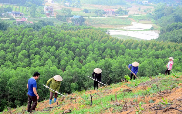 Ảnh minh họa