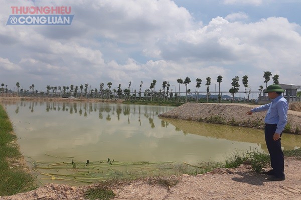 Khu vực ao nuôi cá thương phẩm rộng hàng chục ngàn m2. Ông Trần Xuân Hiếu, Phó Tổng Giám đốc Công ty CP Synot Asean cho biết, hiện cá thương phẩm sau 3 tháng nuôi đã đạt trọng lượng gần 1kg/con; dự kiến tháng 4/2021 sẽ có thành phẩm xuất ra thị trường