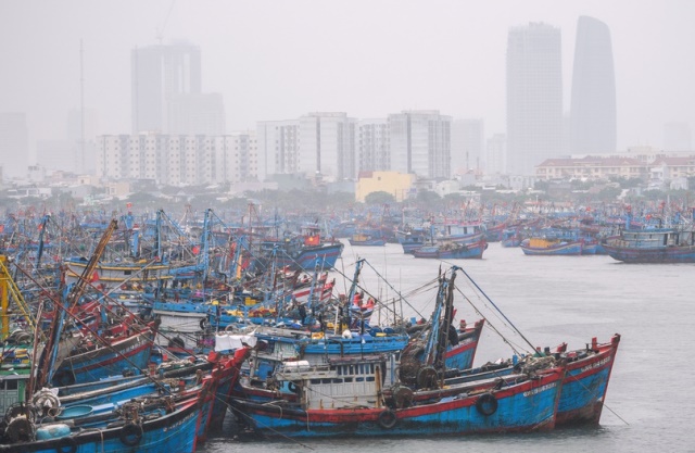 Tính đến trưa 17/9, hơn 1.200 thuyền đã neo đậu tại cảng cá Thọ Quang. Trong đó có khoảng 300 thuyền của ngư dân các tỉnh lân cận vào tránh bão.