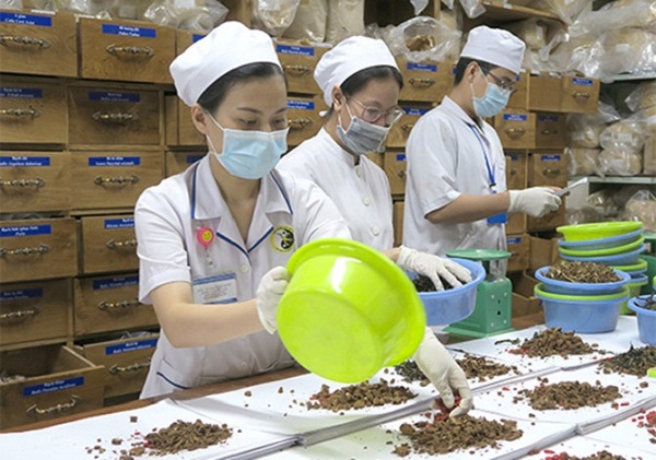 Hà Nội: Phát triển y, dược cổ truyền trong chăm sóc sức khỏe nhân dân