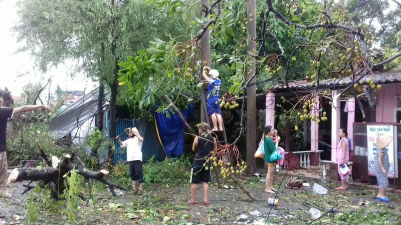 Huế: 4 ngày sau bão số 5, điện lưới, viễn thông vẫn chưa khắc phục xong