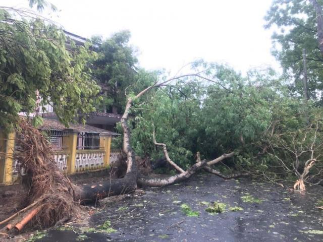 Bão số 5 làm 6 người chết, hàng trăm người bị thương