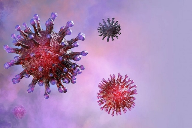 Hình minh họa 3D của virus corona. Ảnh: SCMP.