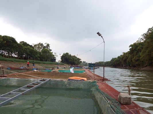 Nuôi cá lồng trên sông Phó Đáy cho thu nhập cao tại xã Thái Hòa