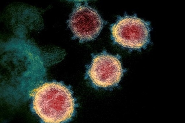 SARS-CoV-2 có thể tiếp tục đột biến ngay cả khi có vaccine
