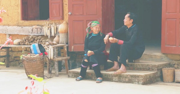 Công ty TNHH Long Hải đã giúp người trồng sâm Fansipan đổi thay cuộc sống