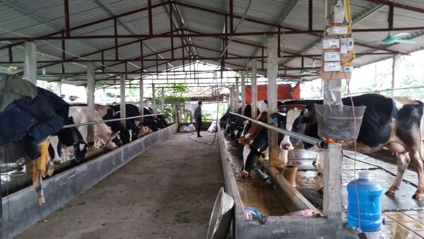 Vĩnh Thịnh (Vĩnh Tường, Vĩnh Phúc): Quyết tâm xây dựng nông thôn mới nâng cao, thôn dân cư kiểu mẫu