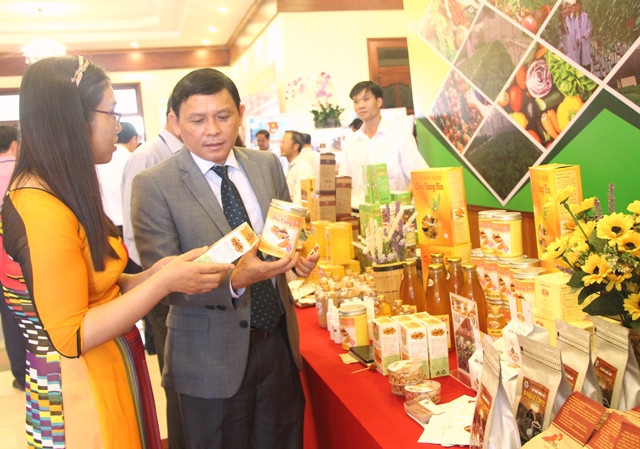 Đăk Lăk: Festival sản phẩm vật tư nông nghiệp, thương mại khu vực miền Trung và Tây Nguyên