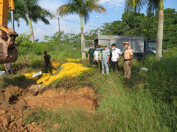Quảng Ninh: Bắt giữ xe ô tô vận chuyển 10.000 gà con giống nhập lậu