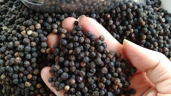 Sáng 11/10: Thị trường giá nông sản trong nước vẫn ổn định