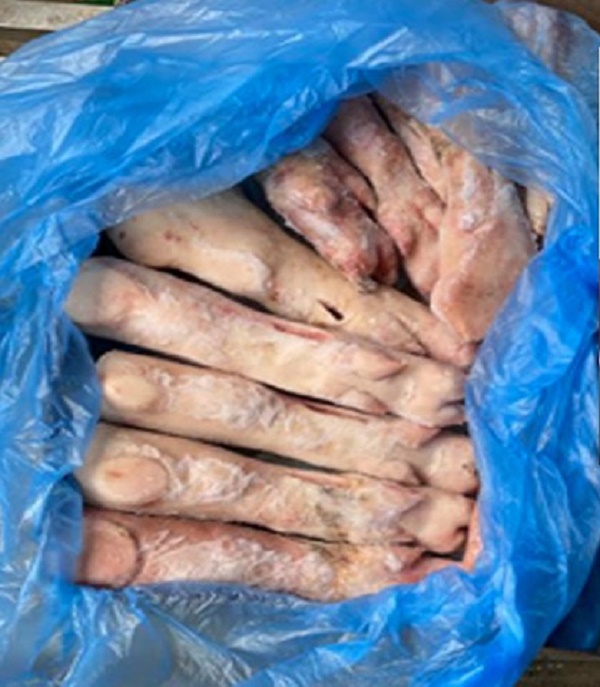 Cao Bằng: Khởi tố đối tượng buôn lậu 5 tấn móng giò đông lạnh không rõ nguồn gốc