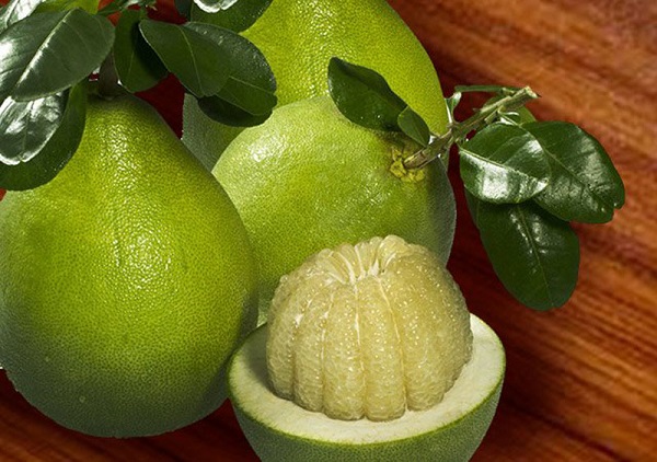 Chi Lê thông báo mở cửa thị trường cho quả bưởi tươi Việt Nam