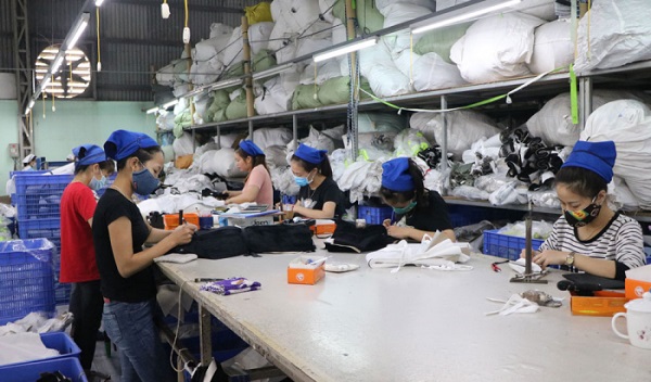 Phú Thọ: 518 doanh nghiệp thành lập mới trong 9 tháng