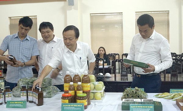 Phú Thọ: Đánh giá, phân hạng OCOP đợt II năm 2020