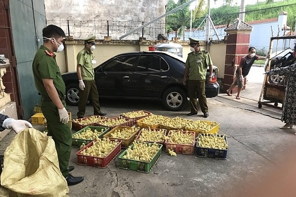 Đẩy mạnh chống gian lận thương mại, ngăn chặn gia cầm nhập lậu