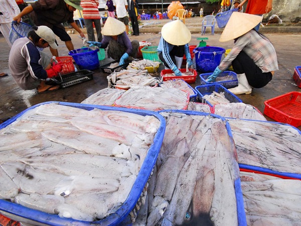 Xuất khẩu mực, bạch tuộc của Việt Nam tăng hơn 20% trong tháng 9