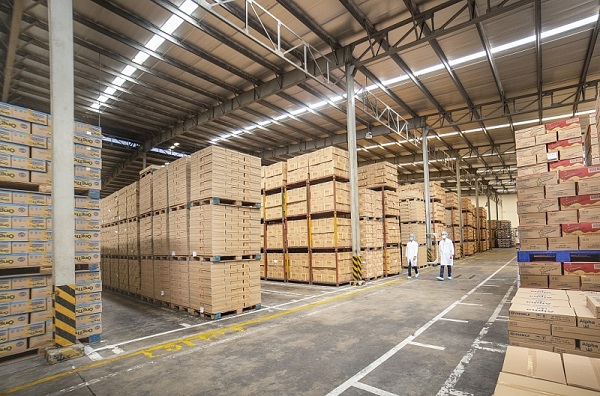 TP.HCM: Một số sắc thuế giảm thu mạnh so với cùng kỳ