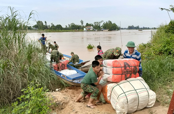 An Giang: Phát hiện số lượng lớn hàng lậu được tập kết ở bãi bồi