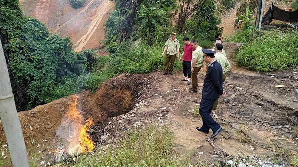 Tiêu hủy 62 kg thủy sản sấy khô thuộc dòng nguy cấp, quý, hiếm