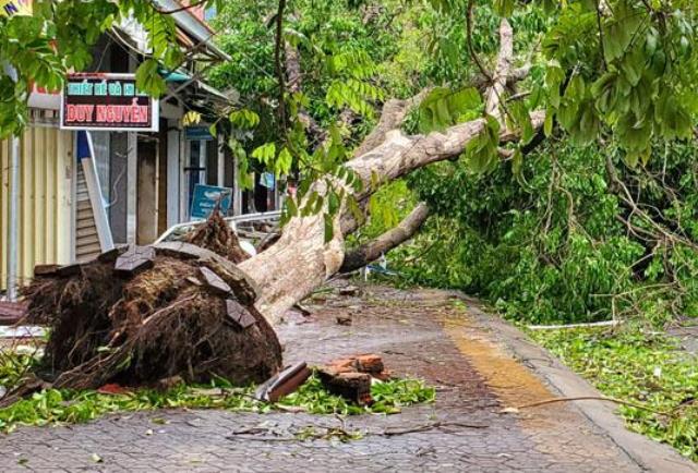 Quảng Ngãi: Bão số 9 thiệt hại ước tính khoảng 130 tỷ đồng