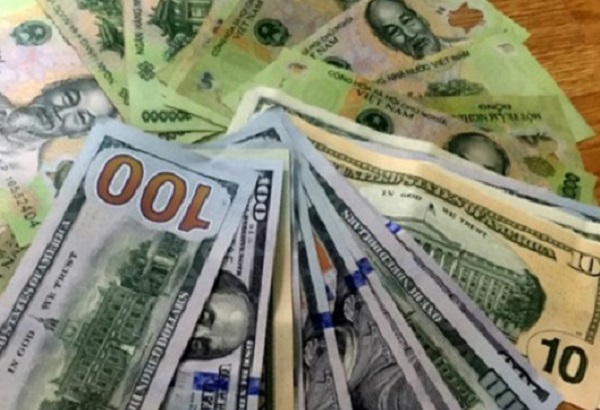 Tỷ giá ngoại tệ ngày 29/10: Đồng USD tăng trở lại