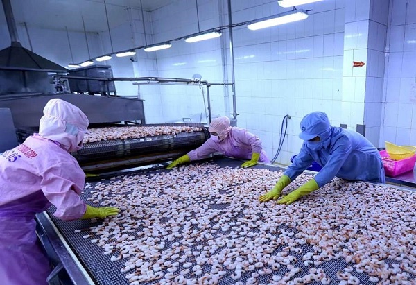 Chịu tác động của Covid -19, xuất khẩu hàng hóa cả nước vẫn đạt tăng trưởng dương