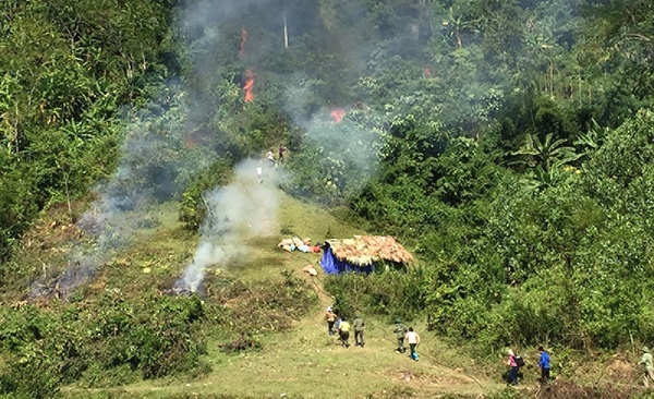 Diễn tập phòng cháy chữa cháy rừng tại Tuyên Quang