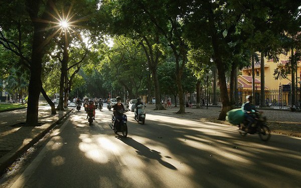 Dự báo thời tiết ngày 1/11: Miền Bắc trời hửng nắng, miền Trung mưa giảm