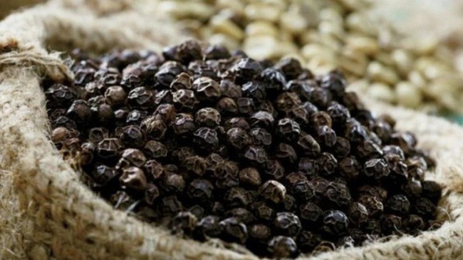 Giá tiêu hôm nay 3/11: Giảm nhẹ tại Tây Nguyên và miền Nam